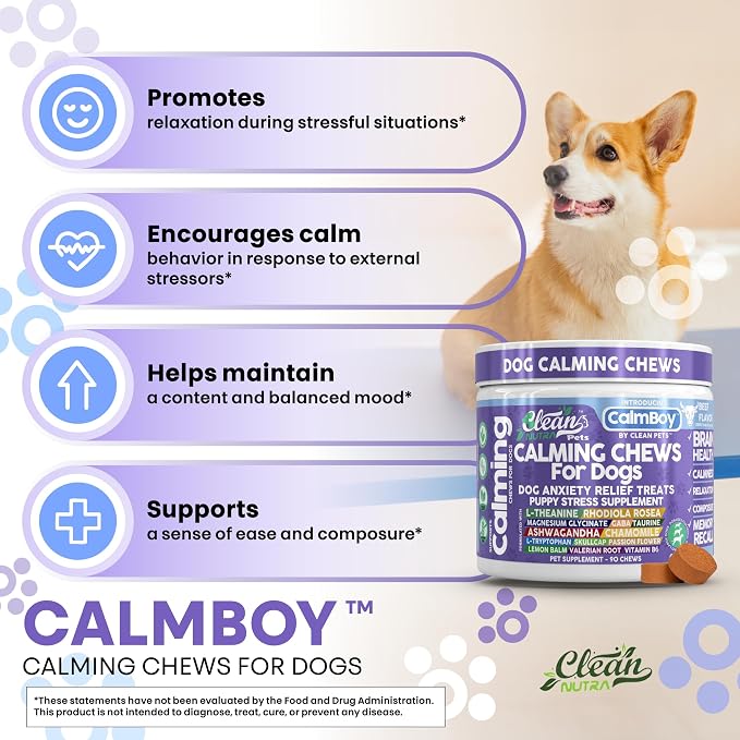 Clean Nutra Calming Chews for Dogs, Dog Anxiety Relief Supplement, L Theanine Ashwagandha Rhodiola GABA Magnesium Valerian Natural Ingredients, 90 Chews, Beef Flavor