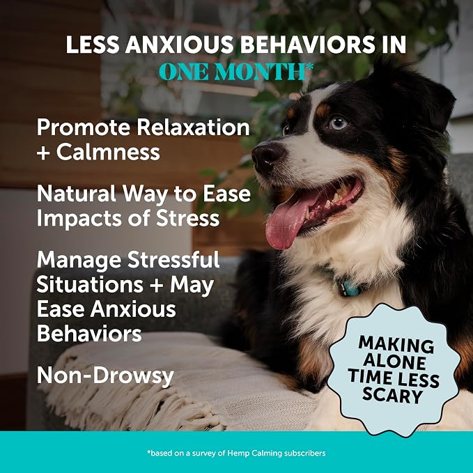 Natural Hemp Dog Calming Chews for Occasional Anxiousness & Stress - Calming Treats for Thunderstorms, Fireworks, Separation & Travel - with Ashwagandha, L-Theanine, Valerian Root (Chicken, 90 Ct)