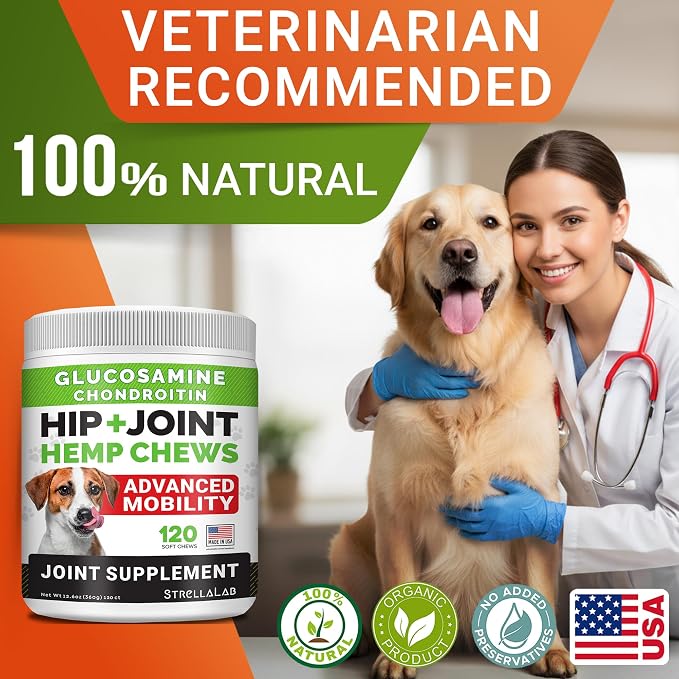 STRELLALAB Hemp Chews for Dogs - Hip & Joint Supplement with Glucosamine - Joint Pain Relief Treats - Omega 3, Chondroitin, MSM - Advanced Mobility Support - Bacon Flavor - 120 Ct - Made in USA