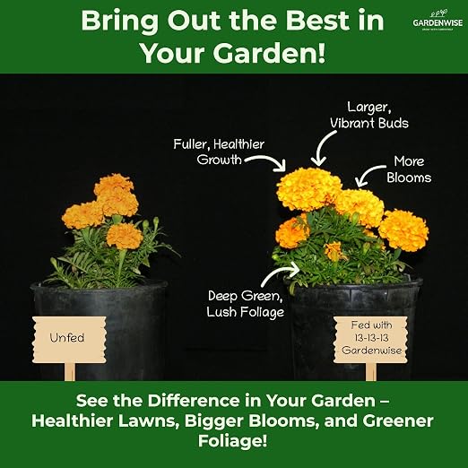 Gardenwise 13-13-13 Slow Release Granular Fertilizer – All Purpose Plant Food 13 13 13 for Outdoor Grass, Vegetables, Roses, Flowers, Shrubs, Trees. Lawns, Gardens, Potted Plants (3 quarts)