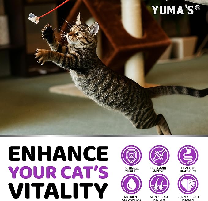 Cat Multivitamin Chews - Cat Vitamins and Supplements - Taurine & Lysine for Cats - Omega-3, Glucosamine, Cranberry - Skin & Coat, Hip & Joint Support - Immune Health, Skin, Heart, Digestion