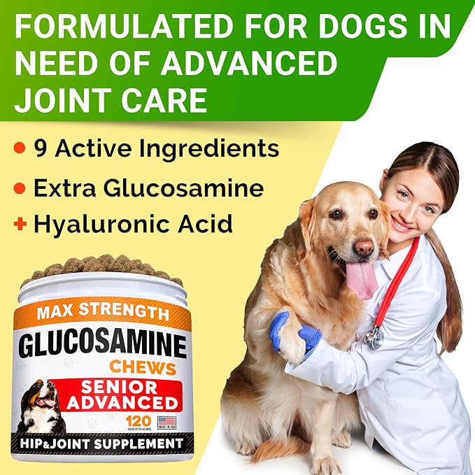 Senior Advanced Glucosamine Joint Supplement + Glucosamine Treats for Dogs Bundle - Hip & Joint Pain Relief + Advanced Mobility - Omega-3 Fish Oil, Chondroitin, MSM - Small + Large Breeds - 240 Chews