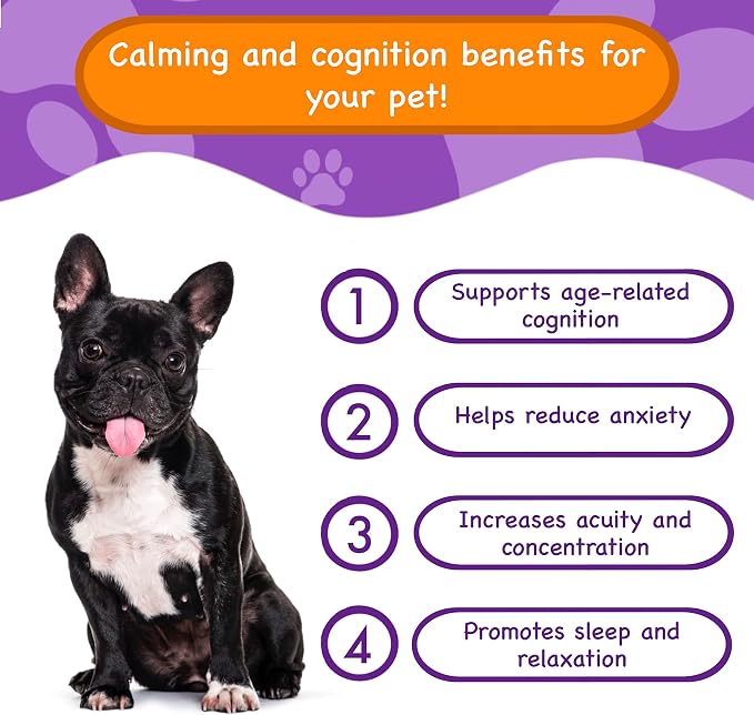 Calming & Cognition Supplement for Dogs, Melatonin SAM-E NMN & CoQ10 - Cognition Supp., Valerian Root Ashwagandha Gingo Biloba - Calming Natural Ingredients, Brain Function