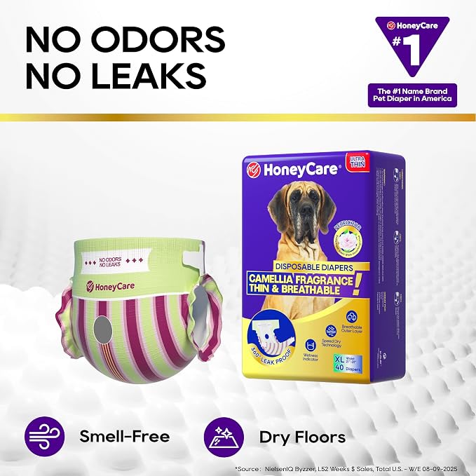 HONEY CARE Petrichor Female Dog Diaper, Camellia Fragrance, Emits Fresh Scent While Absorbing Urine, Thin & Breathable, XL, 40 Count
