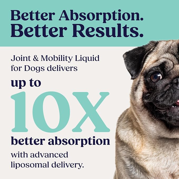 Summit Canine Joint and Mobility Supplement for Small Dogs, All Natural Liquid Chondroitin with Liposomal Delivery for Arthritis, Hip & Joint Support Vitamin, (Dogs <25lbs)