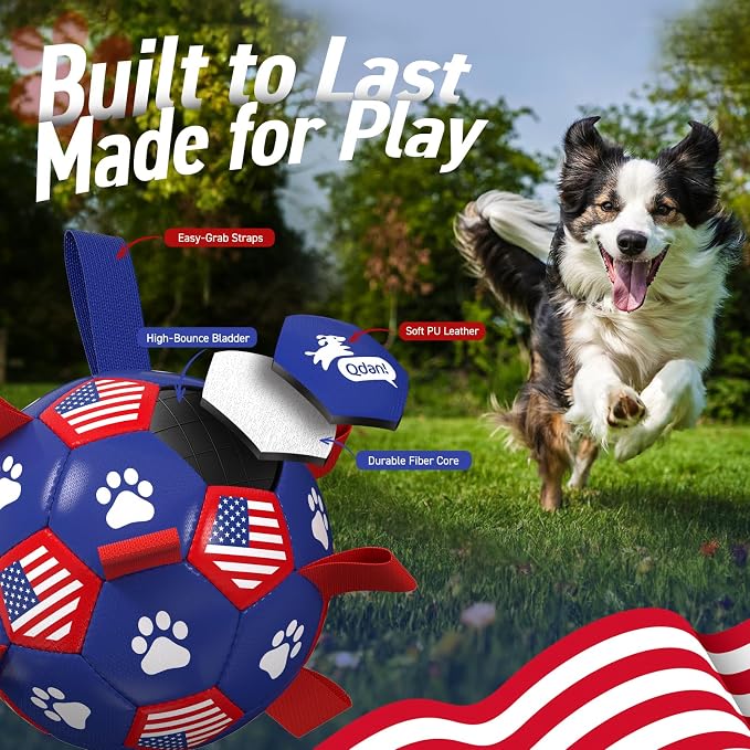 QDAN Dog Toys, Soccer Ball with Straps, Durable Dog Balls for Small Medium, Beach Pool Dog Water Toy (6 Inch)