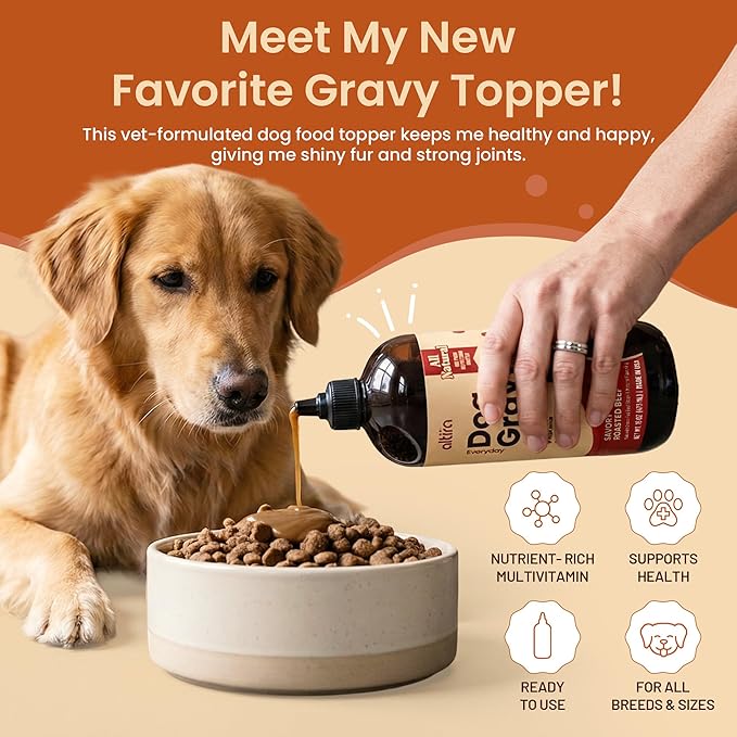 Everyday Dog Gravy - Wet Dog Food Topper for Dry Food with Glucosamine, MSM, Beef Bone Broth, Omega 3, Probiotics and Taurine - Skin, Coat, Heart, Hip and Joint Support, 16 oz (Beef)