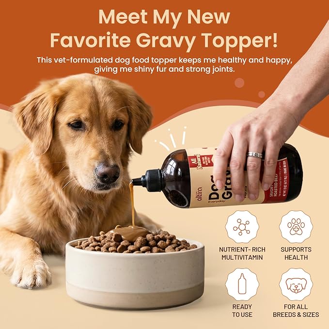 Everyday Dog Gravy - Hickory Bacon | Wet Dog Food Topper for Dry and Wet Food with Glucosamine, MSM, Bone Broth, Omega 3, Probiotics & Taurine | Picky Eaters, Hip & Joint Support | 16 oz