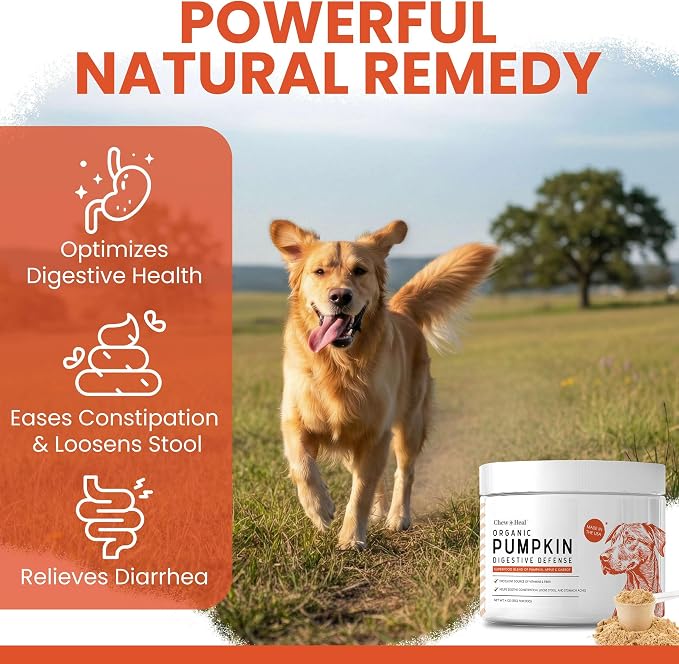 Organic Pumpkin Powder for Dogs - 4 oz w/ 5cc Scoop - Digestive Support & Fiber for Dogs - Natural Dog Food Additive for Dog Constipation Relief & Pumpkin Puree Substitute