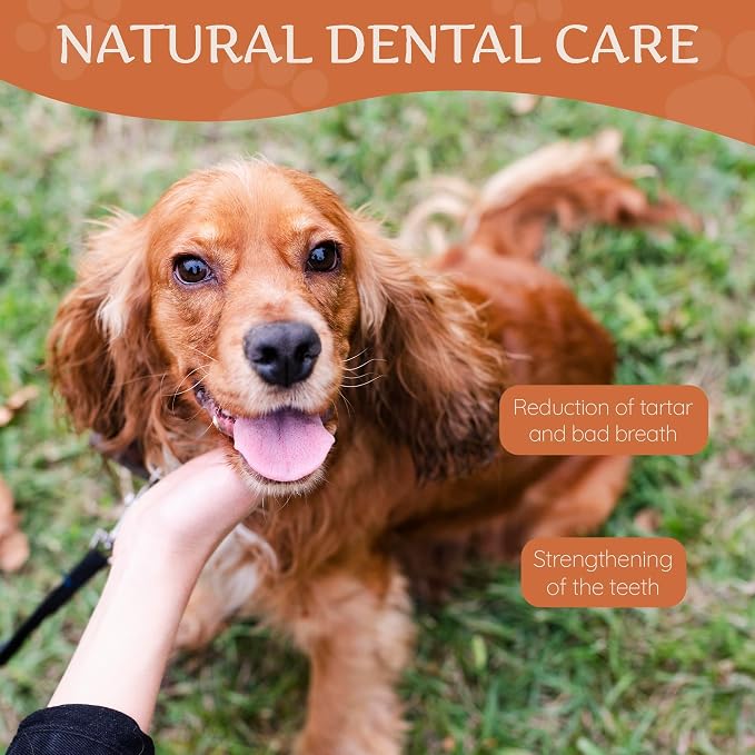 Wildfang® Yak Chews, Medium for Dogs 33-55 lbs – Dog Dental Chew Stick, Hardness Like Himalayan Yak Cheese, Churpi-Style Cheese Sticks, Dog Treats & Puppy Training Treats, Approx 3 oz, Pack of 1