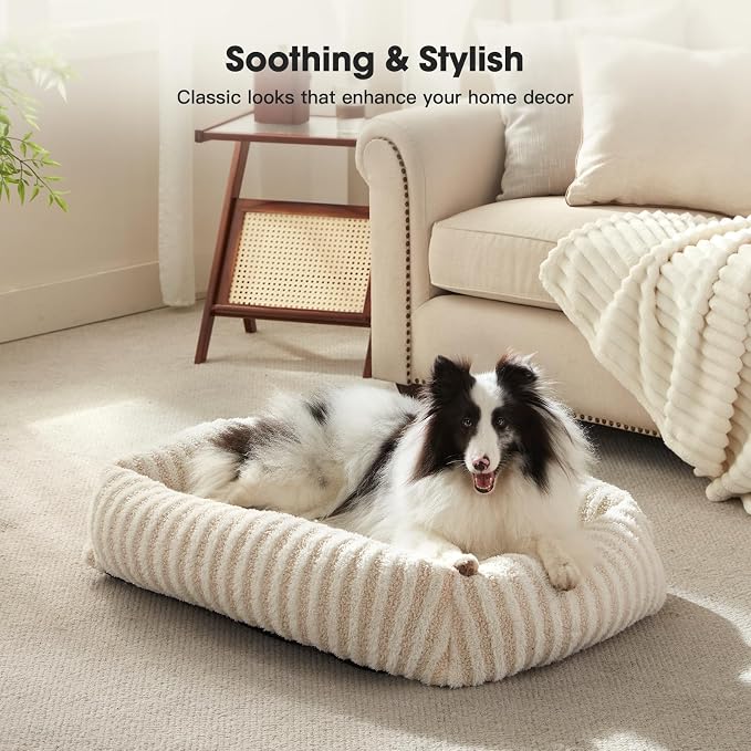 MIXJOY Dog Beds for Small Dogs Cats, Washable Dog Bed with Removable Cover, Soft Calming Cat Bed for Indoor Cats, Rectangle Pet Sofa Bed for Puppy Kitty, Anti-Slip Bottom,20"x19"x6", White