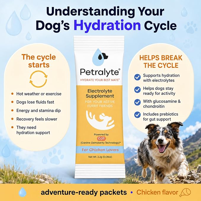 Petralyte Dog Electrolytes and Joint Supplement | Hydration Support for Dogs w/Glucosamine, Chondroitin & More | Electrolytes for Dogs with Prebiotics | for Chicken Lovers | 32 Packets