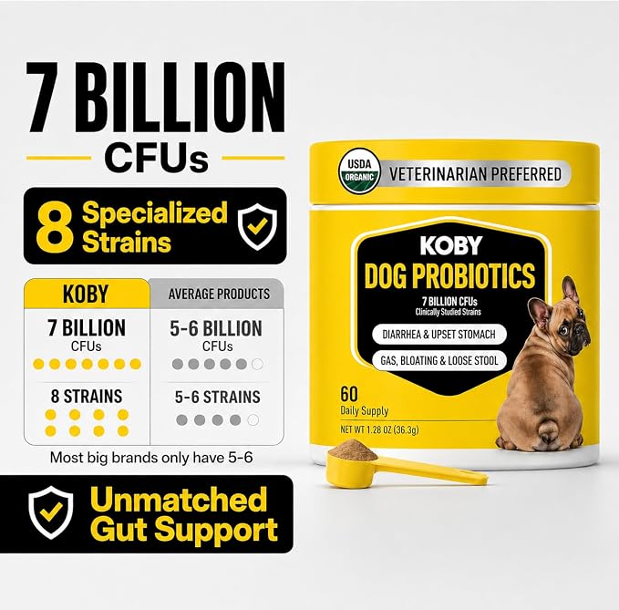Koby Dog Probiotic Powder, 7B CFU with 8 Strains for Diarrhea, Sensitive Stomach & Gut Health, USDA Organic, Vet Developed, Bone Broth, 60 Scoops