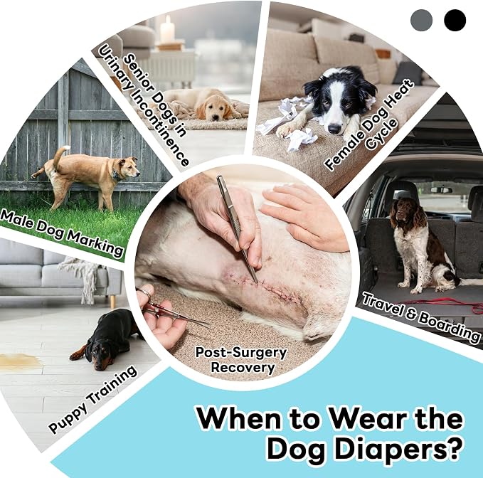 IDOMIK Reusable Female Dog Diapers, Washable Dog Period Diapers with Adjustable Suspenders, Leakproof Escape-Proof Sanitary Panties for Dogs in Heat Cycle, Incontinence, or Senior Dogs,Black,M