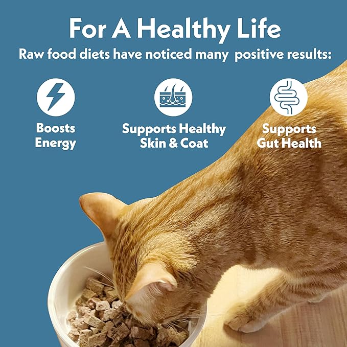 Fresh Is Best Chicken Freeze Dried Cat Food – Raw Cat Food for Kittens & Adult Felines – High-Protein Freeze Dried Raw Chicken in Resealable Zipper Bag – Made in the USA – 8 oz