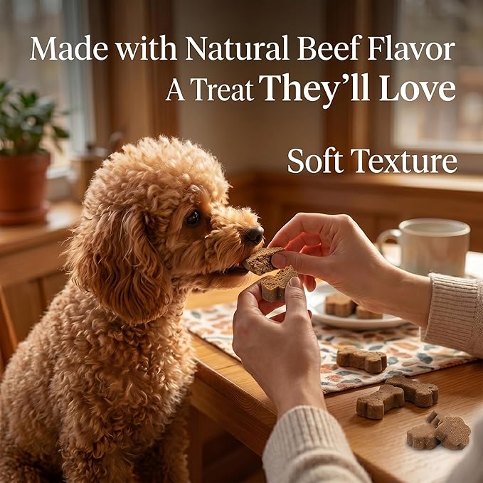 Dog Allergy Chews, Multivitamin Itch Relief Chews for Dog, Beef Flavor | With Salmon Oil, Chondroitin & Natural Vitamins, Skin and Coat Healthy, Digestive & Boost Immunity, 60 Soft Chews