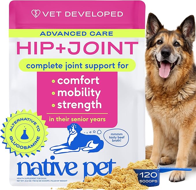 Native Pet Hip and Joint Supplement Dogs - Powder with UC-II Collagen and HMB - Senior and Large Breed Dog Joint Support - Made in USA - 120 Scoops
