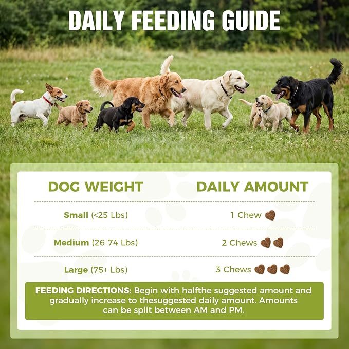 Probiotics for Dogs 2 Billion CFU - 6 Strains with Bacillus Subtilis - Soft Chews for Dog Diarrhea, Gas, Bad Breath & Itchy Skin - Digestive & Immune Support