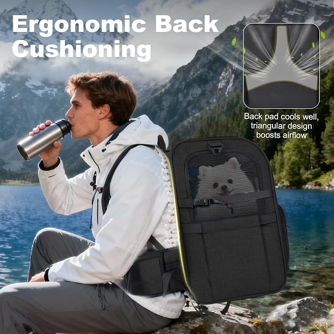 Dog Carrier Backpack for Small Dogs - Breathable Mesh Hiking Bag with Safety Buckle, Adjustable Straps and Elevated Pad - Durable for Hiking (Fits Small Cats Too, Up to 17lbs, Black)