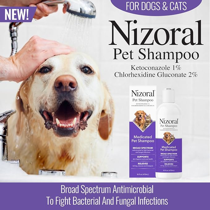 Nizoral Ketoconazole Pet Shampoo for Dogs and Cats, 16 Oz, 1% Ketoconazole, 2% Chlorhexidine Gluconate, Antifungal, Antimicrobial Support, Skin Health, Odor Control, Dog Itching Skin Relief Shampoo