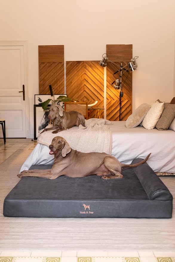 NOAH & PAW Giant Dog Bed XXL 55x45x9.5 Inch, Orthopedic Dog Beds, Eggshell Memory Foam Infused with Cooling Gel, Water Resistant, Machine Washable, Includes Inner Cover (Faux Leather)