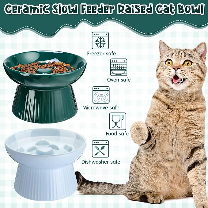 Tioncy 2 Pcs Raised Cat Slow Feeder Bowl Ceramic Elevated Cat Dog Food Bowl No Spill High Edge for Dry Wet Food and Water Easy to Clean, Dishwasher Safe (Dark Green,Blue)