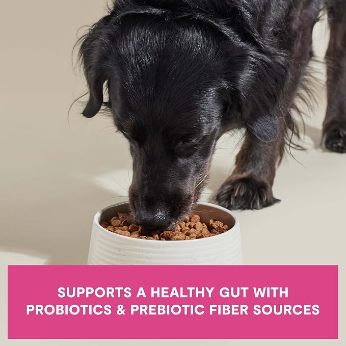 Open Farm, Epic Blend Grain Free High Protein Dry Dog Food, Probiotic Coated & Bone Broth Infused Kibble with Air Dried Meat & Organs, Salmon & Superfood Recipe, 18lb Bag