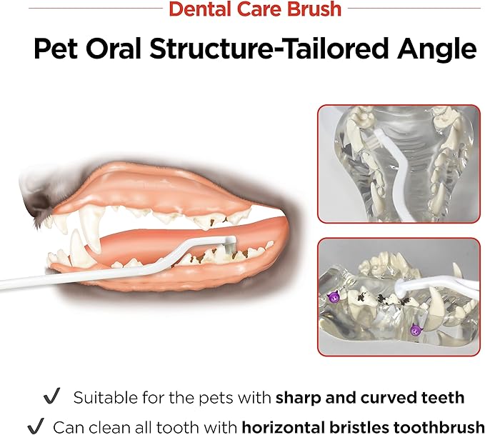 JAYU PET Dental Care Brush with Soft Bristles 1ea | Dog Toothbrush, Cat Toothbrush, For Kitten and Small Dogs, Removes Old Plaque and Tartar, Easy Cleaning