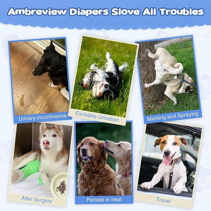 Ambreview Dog Diapers Female, Disposable Pulled Up Dog Diaper with Stretchy Waist, Super Absorbent 360° Leak-Proof Doggie Diapers for Female Puppy Dogs in Heat/Urinary Incontinence (30S)