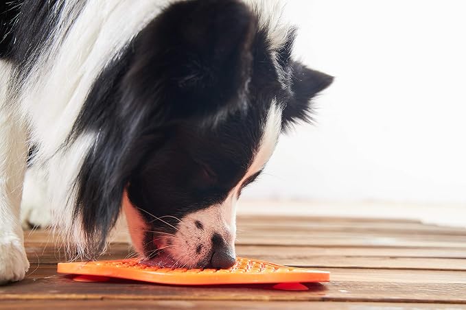 PetDreamHouse PAW 2-in-1 Slow Feeder Interactive Bowl and Removable Lick Mat Pad for Dogs, Puppies or Cats Plate Food Treats Controls Fast Eating Anti Bloating - Orange