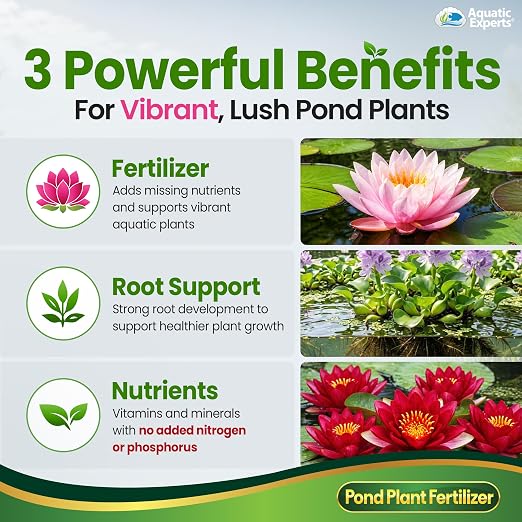 VitaPlant Pond Plant Fertilizer – Liquid Aquatic Plant Food for Water Lilies & Aquatic Plants, Supports Lush Growth & Vibrant Color, 500 mL, Aquatic Experts