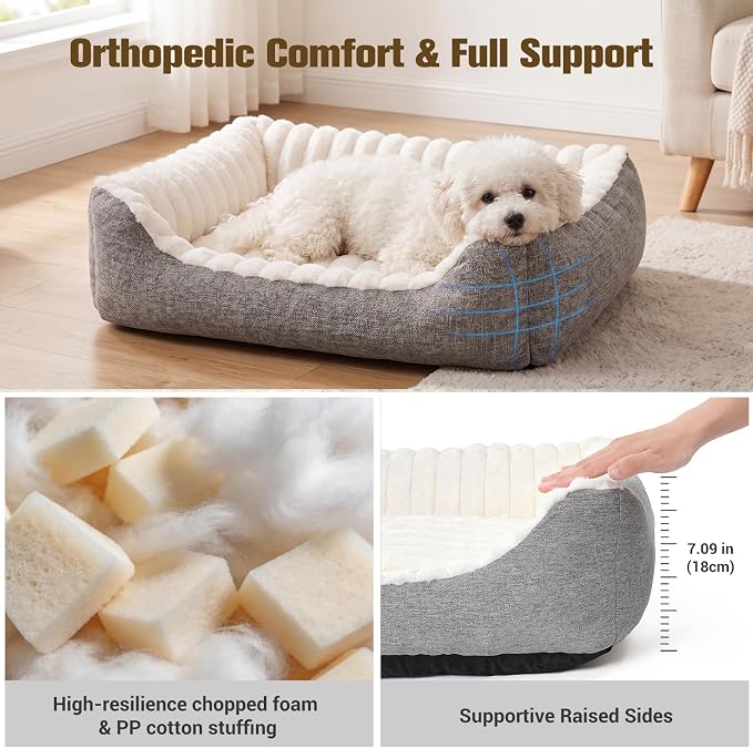 Avont Supportive Dog Bed for Small Dogs & Cats, Plush Foam Fill, Cream | Removable Machine Washable Cover, Low 5.12" Entry for Pups & Seniors, 7:3 Foam-PP, Non-slip Bottom, Hidden Chew-proof Zippers