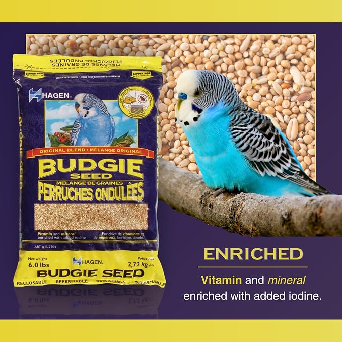 Hagen Parakeet/Budgie Staple White Millet Bird Seed Seed – Premium Blend, Nutritionally Balanced, Fortified with Vitamins & Minerals, Dust-Free Mix for Budgies, 25 lb Bag