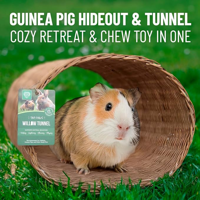Small Pet Select Tiny Paws Jumbo Willow Tunnel, for Guinea Pig, Rabbit, Bunny, Toys, Hideout Tunnel, Cage Accessories, 13.5x12x9.5