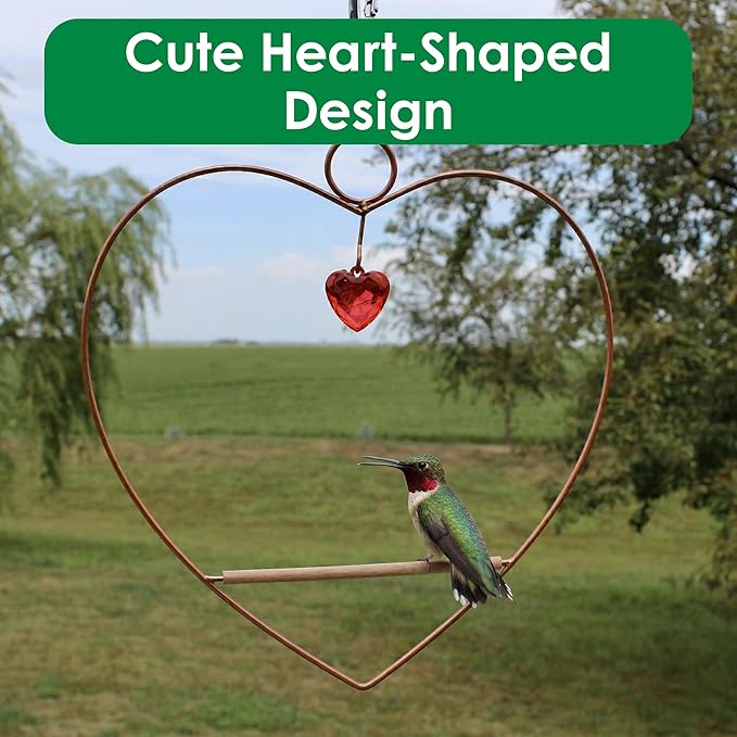 Songbird Essentials Hummingbird Swing - Tweet Heart Birdie Swing - Copper Color Hummingbird Perch