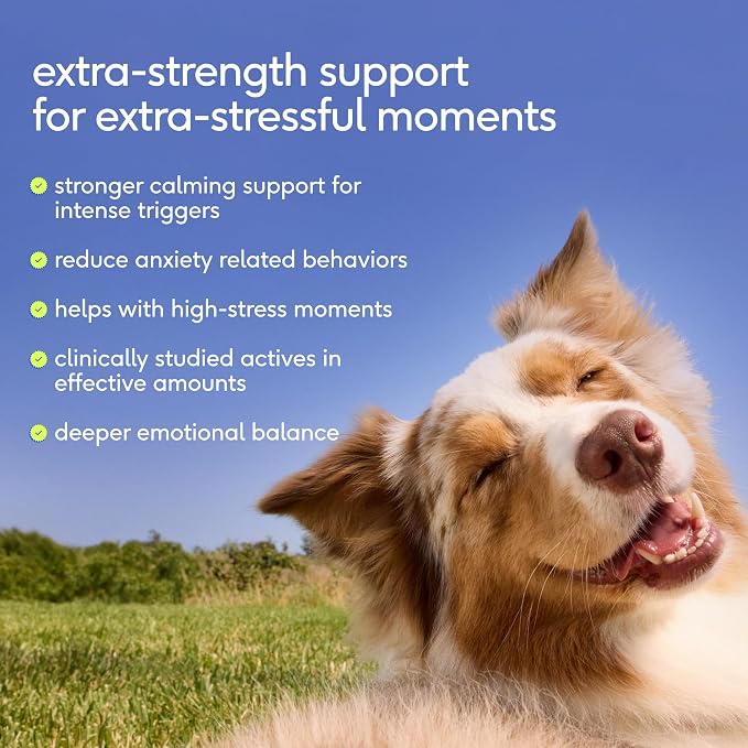 Native Pet Advanced Calming Chews for Dogs & 3 Medium Yak Cheese Himalayan Dog Chews - Long Lasting Dental Sticks for Medium Breeds Supports Mental Enrichment & Helps with Anxiety Related Behavior