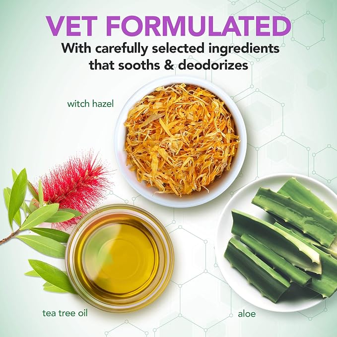 Vet's Best Ear Relief Finger Wipes | Ear Cleansing Finger Wipes for Dogs | Sooths & Deodorizes & Dog Toothbrush & Toothpaste Kit - Natural Ingredients Reduce Plaque, Whiten Teeth, Freshe
