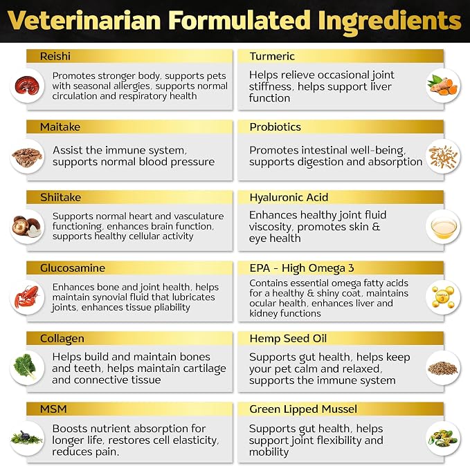 Joint Supplement for Dogs 500mg Glucosamine + 500mg MSM, Eggshell Membrane - Daily Hip and Joint Chews with Chondroitin, Green Lipped Mussel, Bacon Flavor, Non-GMO, 90ct