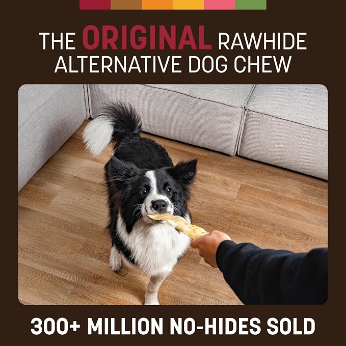 Earth Animal No Hide Strips - Natural Rawhide Free Dog Chew Strips, Beef - 10 Count Value Pack