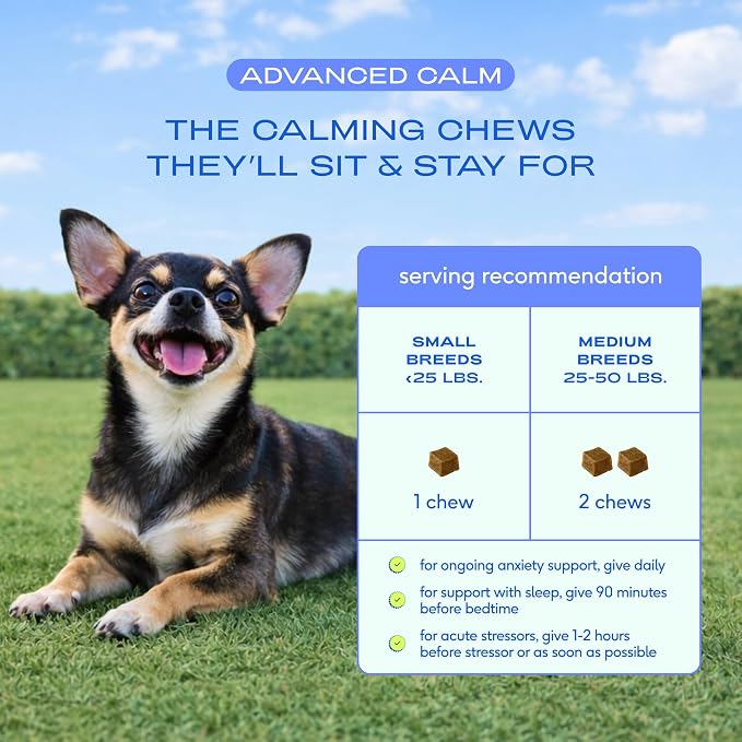 Native Pet Advanced Calming Chews for Dogs - Anxiety Relief, Stress, Separation, Travel & Sleep Support with Melatonin for Dogs, Hydrolyzed Casein, Valerian Root & L-Tryptophan -30 Chews
