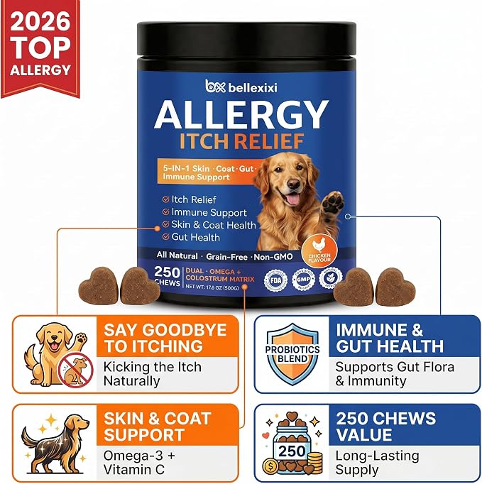 Dog Allergy Chews 250ct - Seasonal Allergy & Itching Skin Relief for Dogs - Soft Chews with Colostrum, Probiotics & Omega 3 for Licking Paws, Hot Spots & Immune Support - Chicken Flavor (17.6 OZ)
