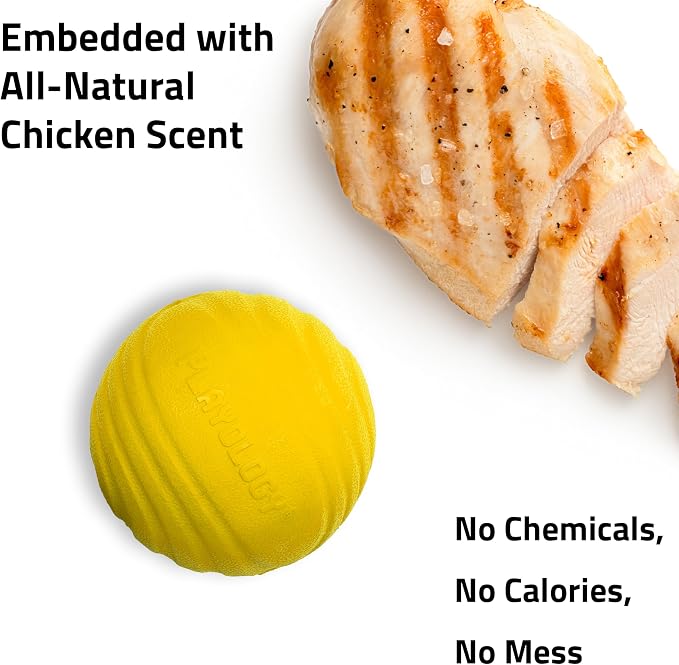 Playology Dog Toys | Dual Layer Ball Durable Chew Toy for Tough Chewers | Chicken Scented Medium Dog Toy | Chew Toys for Dogs