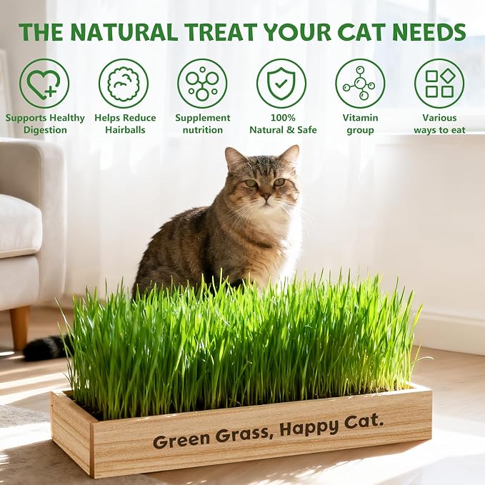 LUOJIBIE Cat Grass Kit for Indoor Cats, Cat Grass Seeds Set, Non-GMO Wheat Grass, Mothers Day Gifts for Mom, Unique Christmas Birthday Gifts for Women Men Girl, House Warming Gifts for Cat Lover