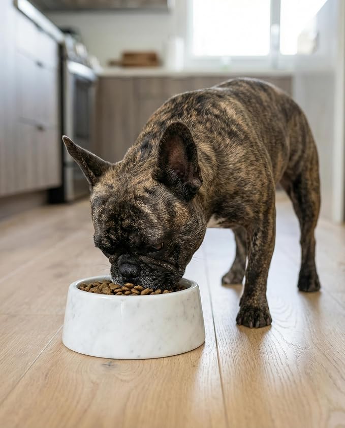 OOBOOB Natural Marble Dog Bowls, Non-Slip Heavy Weight Dog Food Bowl & Dog Water Bowl with Minimalist Design, Premium Marble Texture Pet Bowl for Small to Medium Dogs & Cats