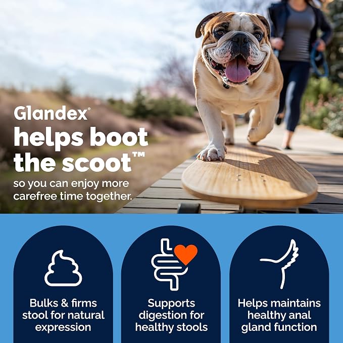 Vetnique Glandex Anal Gland Soft Chew Treats with Pumpkin for Dogs Digestive Enzymes, Probiotics Fiber Supplement for Dogs Boot The Scoot (Advanced Strength Duck/Bacon, 120 Ct)