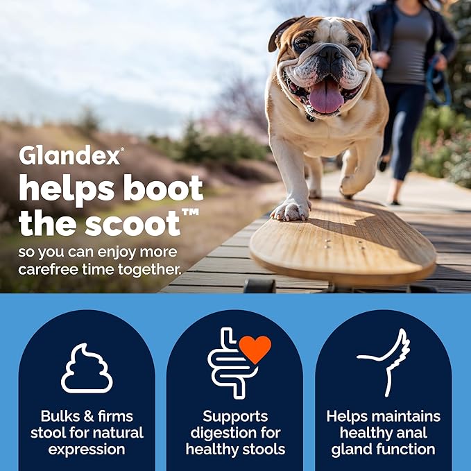 Vetnique Glandex Anal Gland Soft Chew Treats with Pumpkin for Dogs Digestive Enzymes, Probiotics Fiber Supplement for Dogs Boot The Scoot (Bacon Flavor Chews, 60 Count)