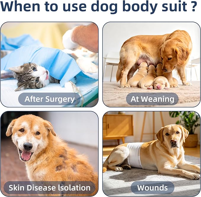 ETIAL Dog Post-Surgery Recovery Suit Breathable Surgical Shirt for Dogs with Adjustable Strap & Drawstring, Cone Alternative, Prevents Licking Wounds, Easy to Put On (Blue, X-Small)
