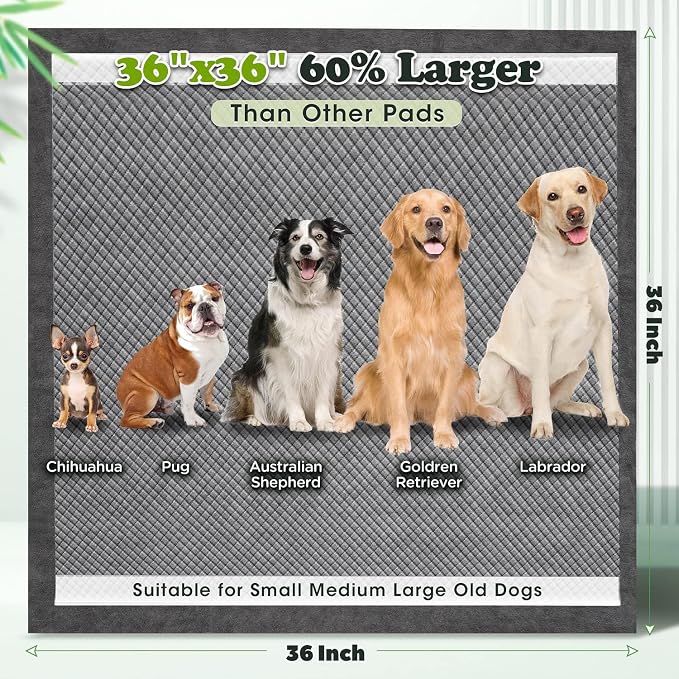 Gimars Upgrade Odor Control 4XL 36x36 Extra Large Thicken 9 Layers Extra Absorbent Charcoal Pee Pads for Dogs - Leak Proof Dog Training Pads Quick Dry - 100 Counts