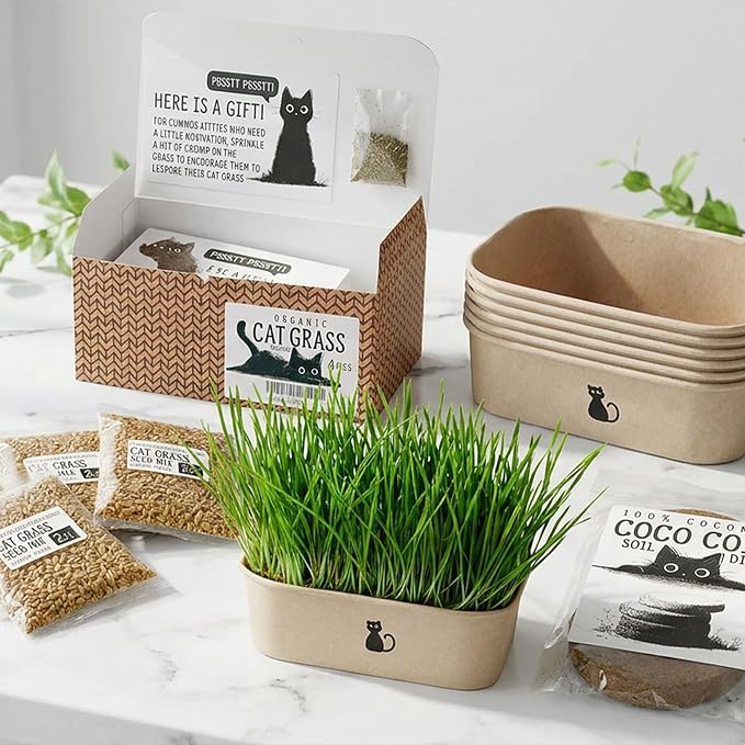 Cat Grass Grow Kit — 4-Batch Indoor Growing Set with Containers, Soil Disks & Seeds | Supports Digestion & Hairball Control | Ready to Grow, No Mess