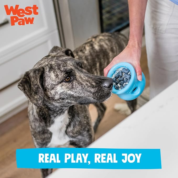 WEST PAW Zogoflex Toppl Interactive Treat Dispensing Puzzle Dog Toy for Mental Stimulation & Enrichment-Holds Kibble & Treats-Lickable, Freezable & Dishwasher Safe-Made in USA-Small-Aqua Blue
